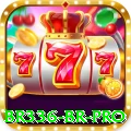 br336 BR Pro